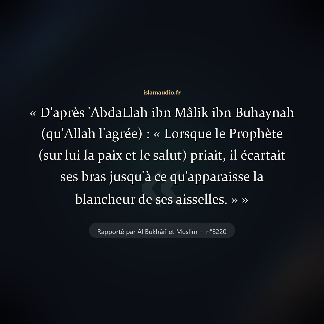 Aperçu du hadith