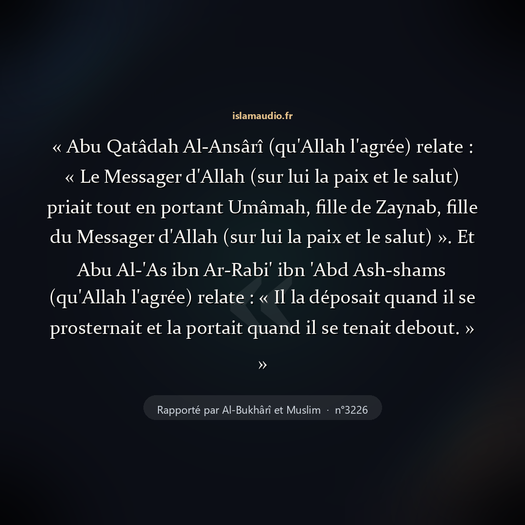 Aperçu du hadith