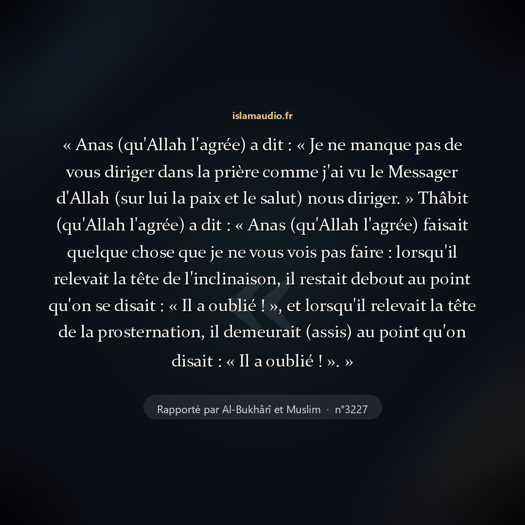 Aperçu du hadith