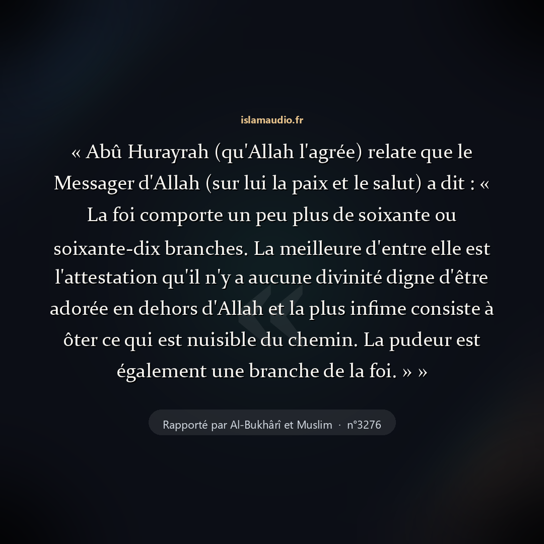 Aperçu du hadith