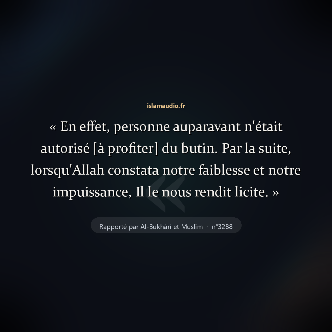 Aperçu du hadith