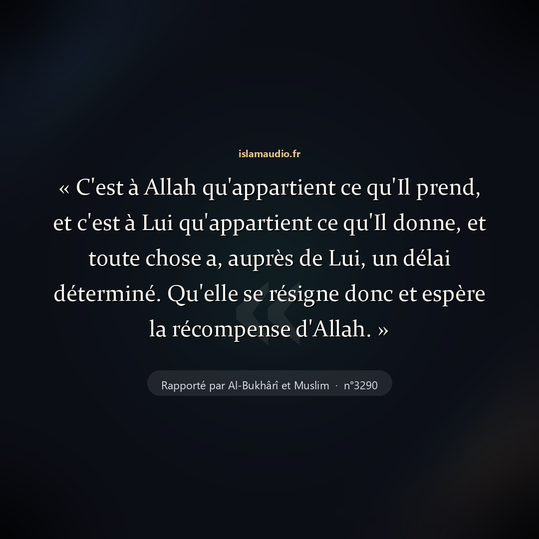 Aperçu du hadith