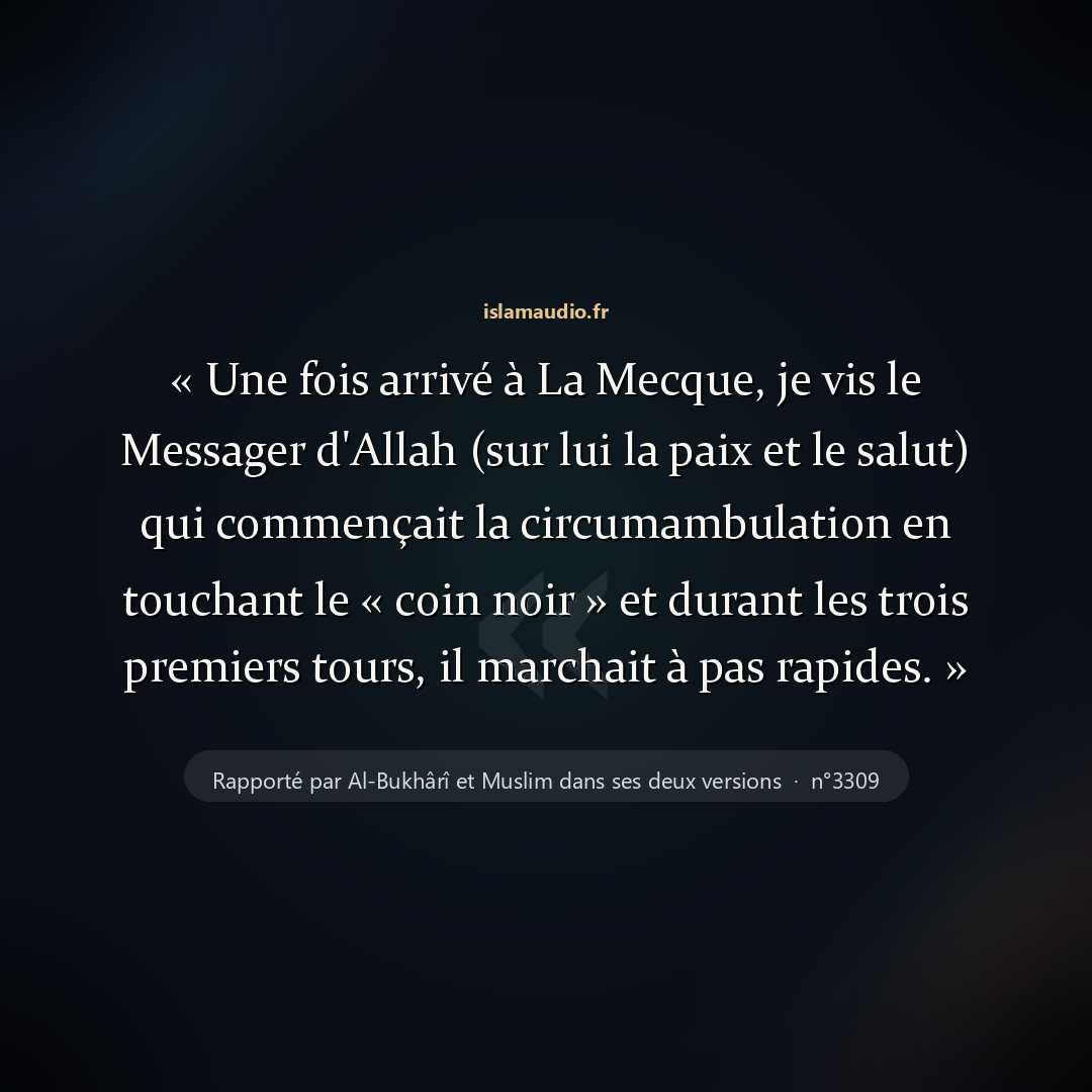 Aperçu du hadith