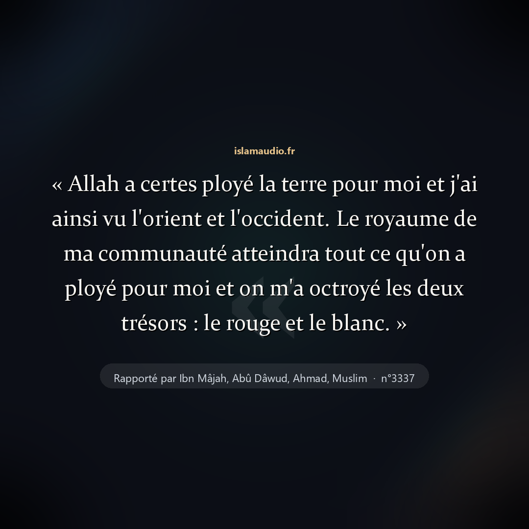 Aperçu du hadith