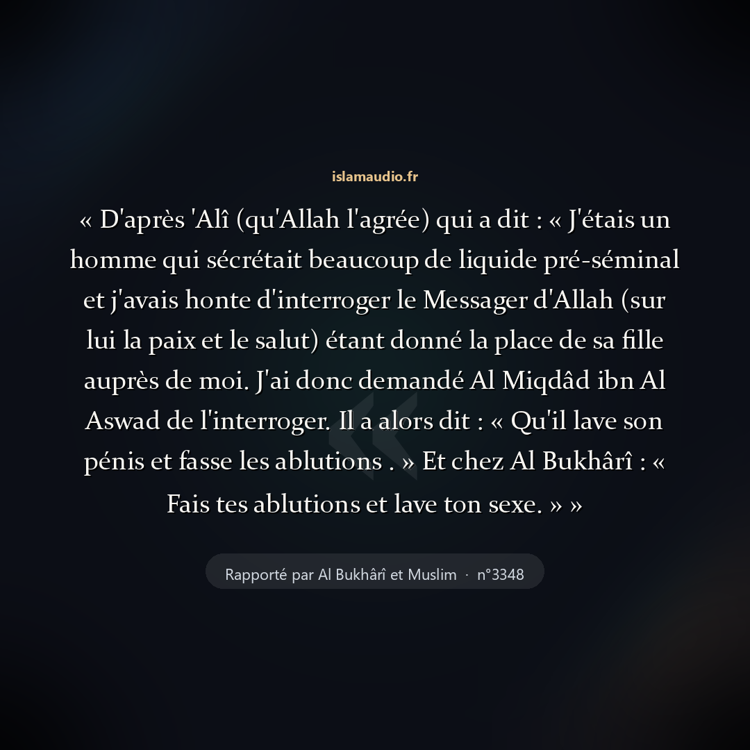 Aperçu du hadith