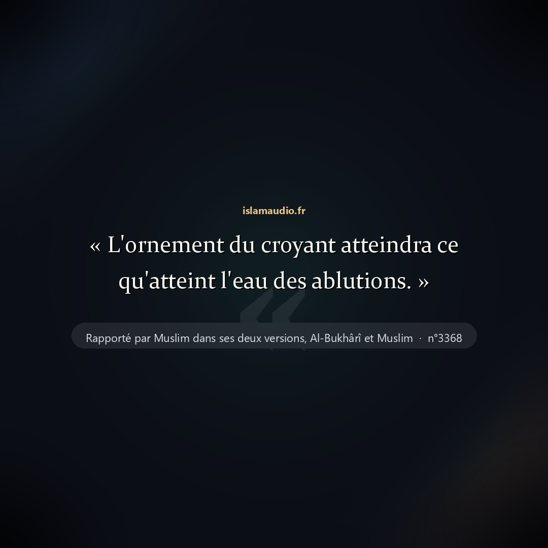 Aperçu du hadith
