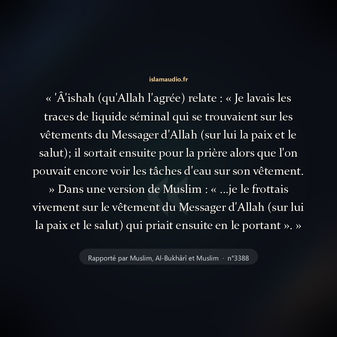 Aperçu du hadith