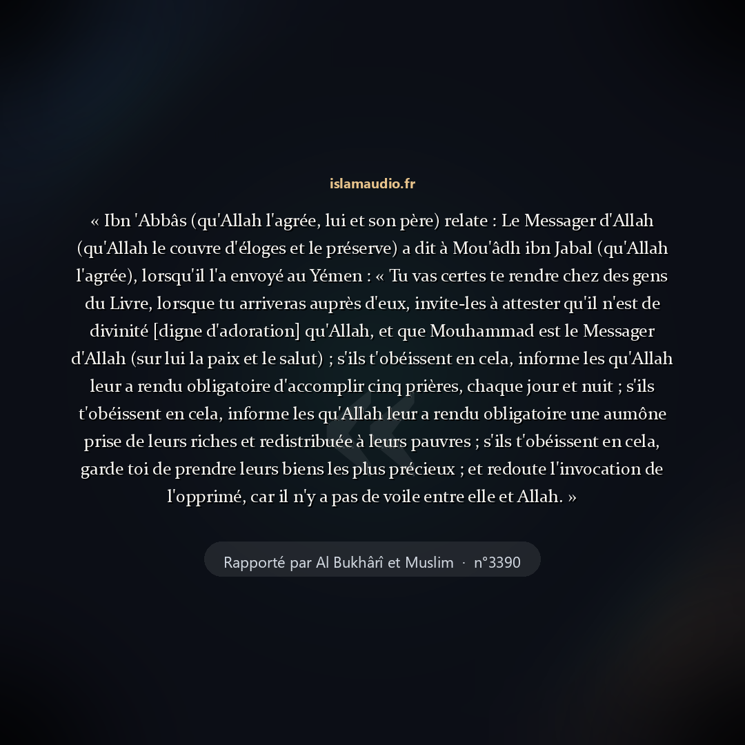 Aperçu du hadith