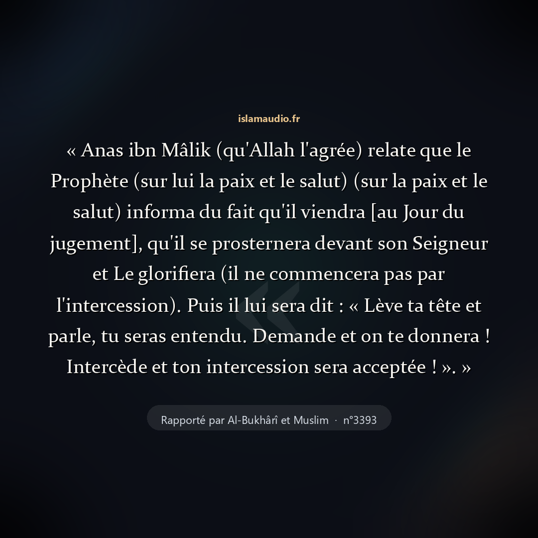 Aperçu du hadith