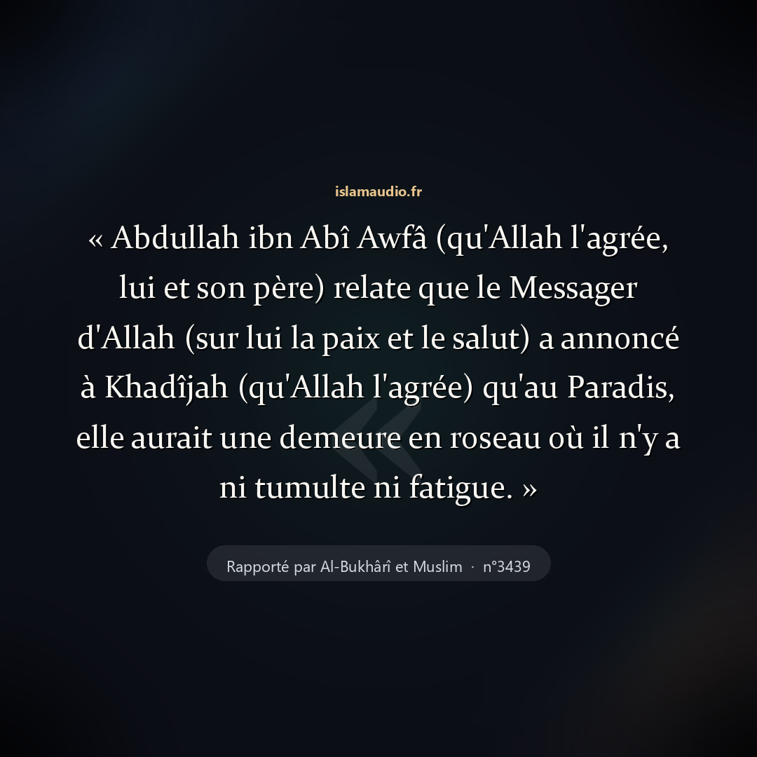 Aperçu du hadith