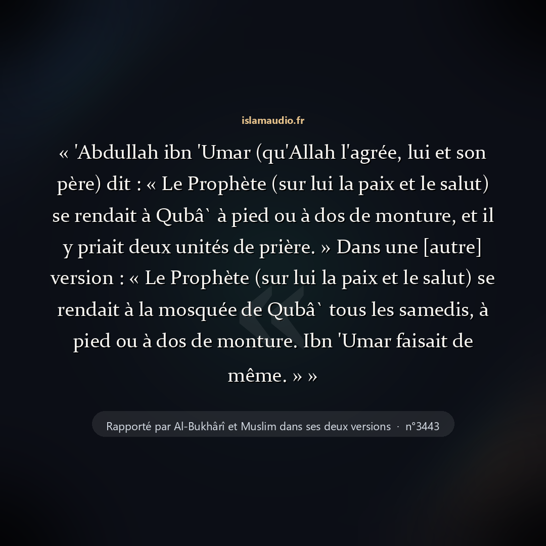 Aperçu du hadith