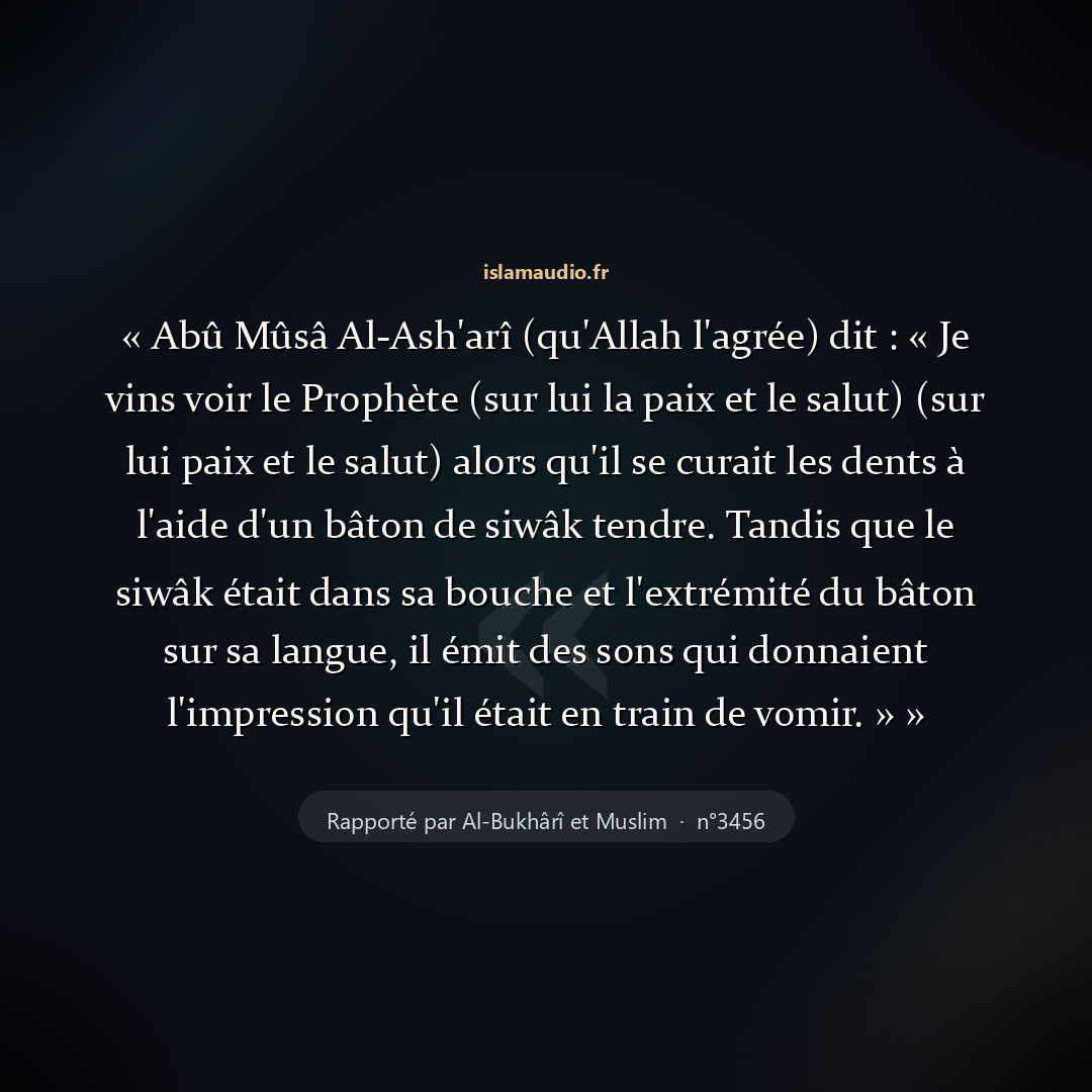 Aperçu du hadith