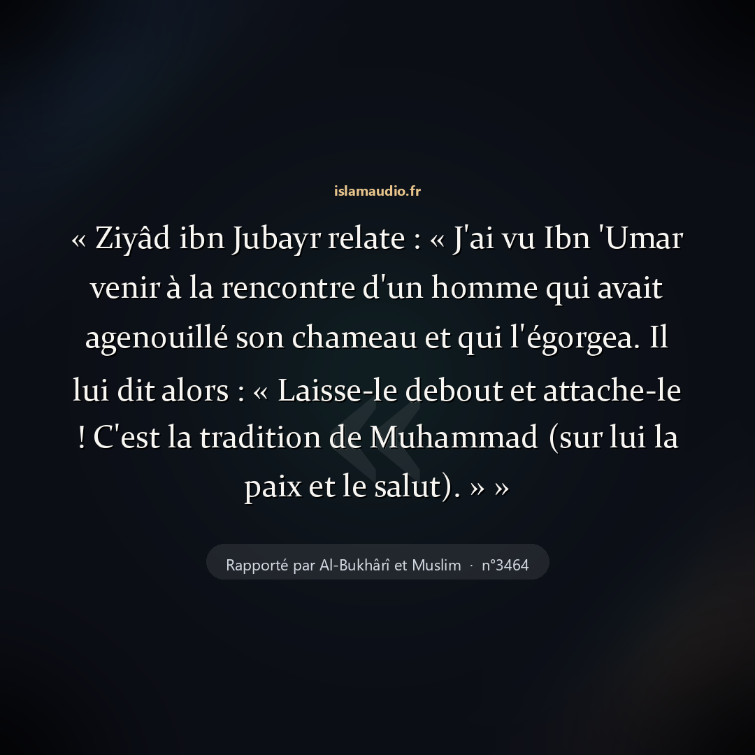 Aperçu du hadith