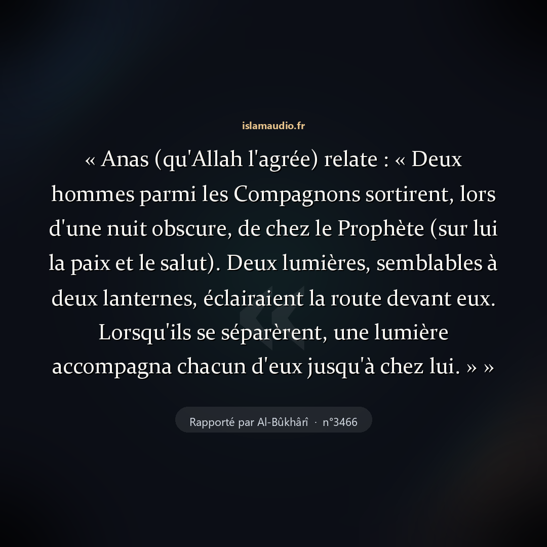 Aperçu du hadith