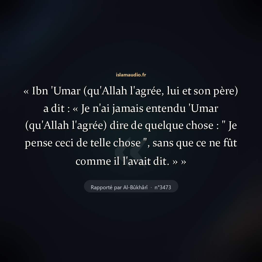 Aperçu du hadith
