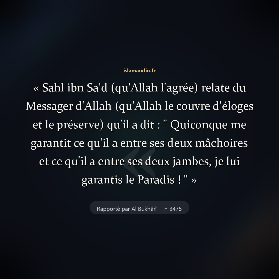 Aperçu du hadith