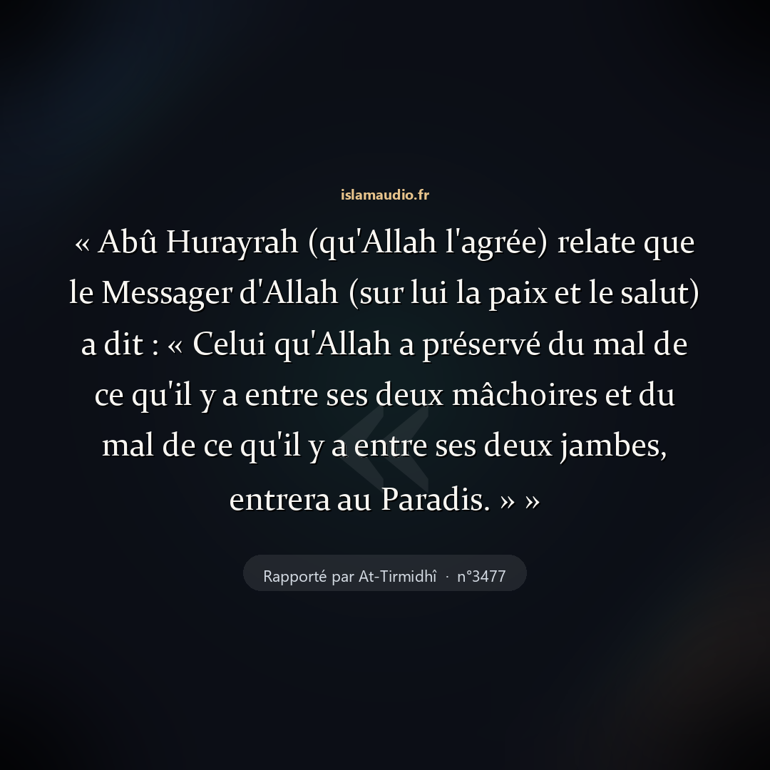 Aperçu du hadith