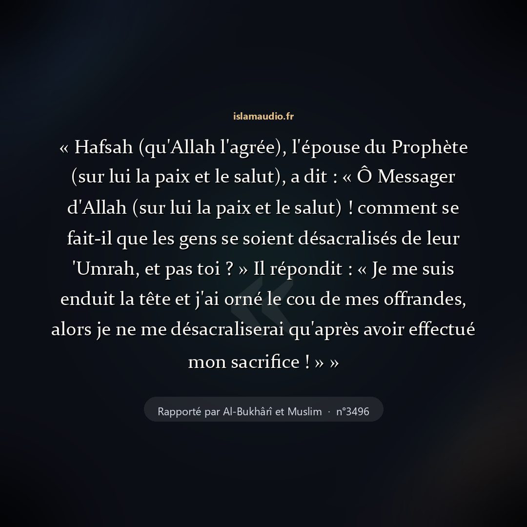 Aperçu du hadith
