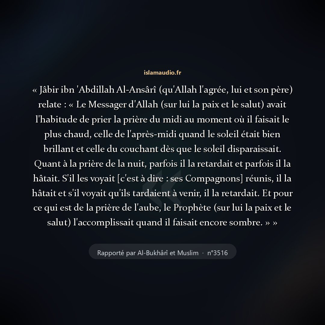 Aperçu du hadith