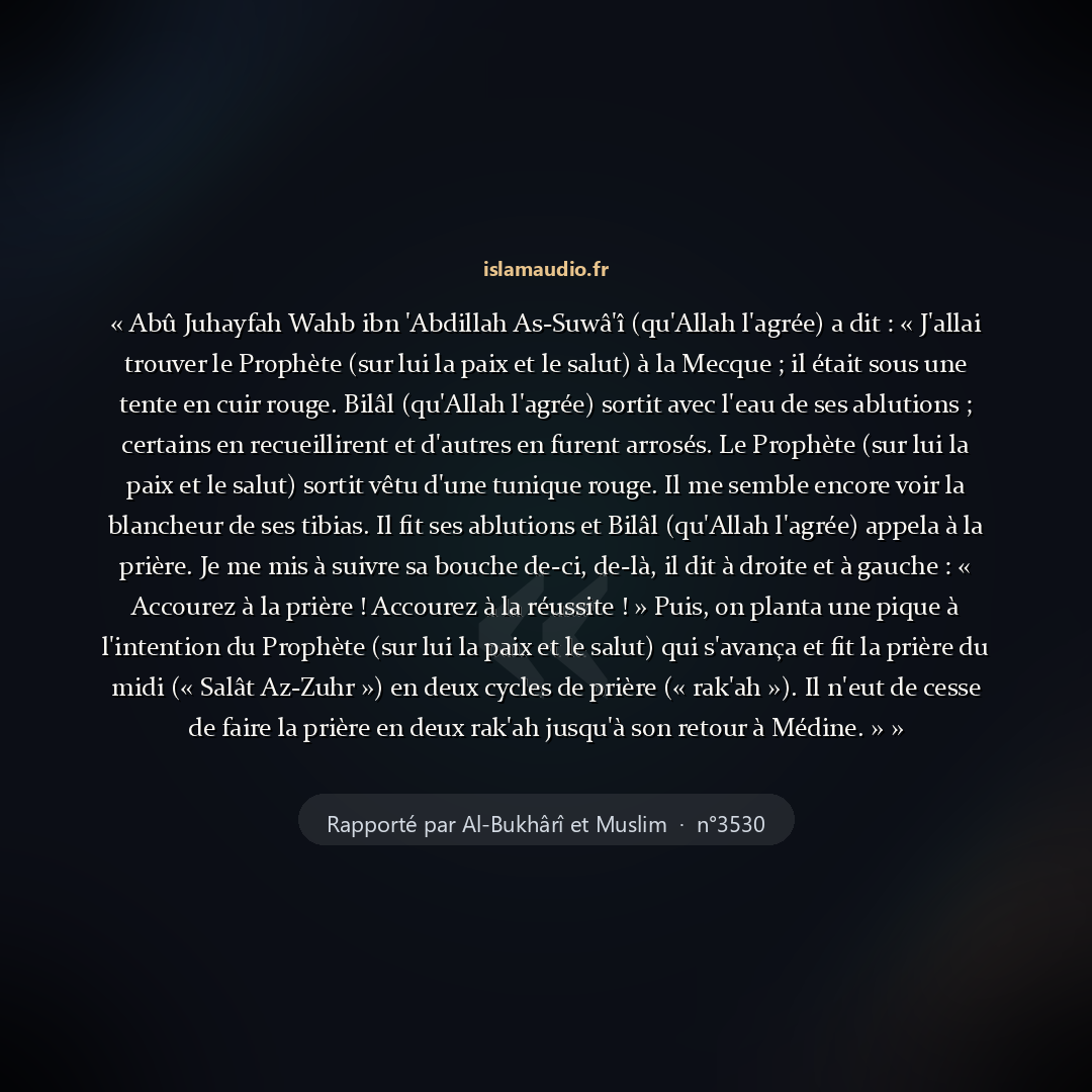 Aperçu du hadith