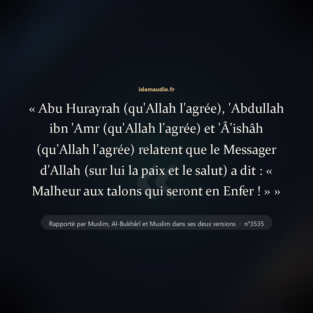 Aperçu du hadith