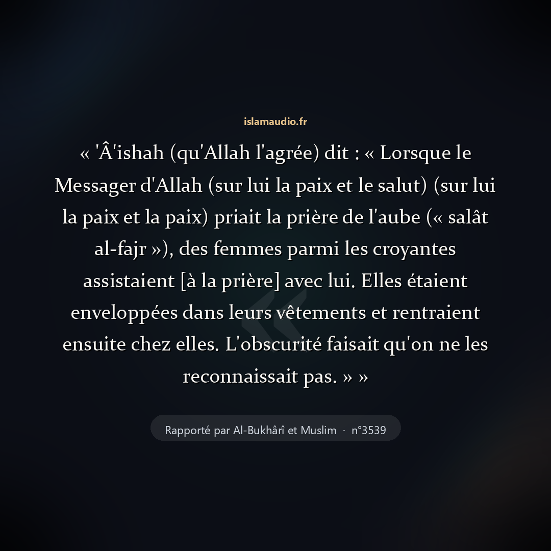 Aperçu du hadith