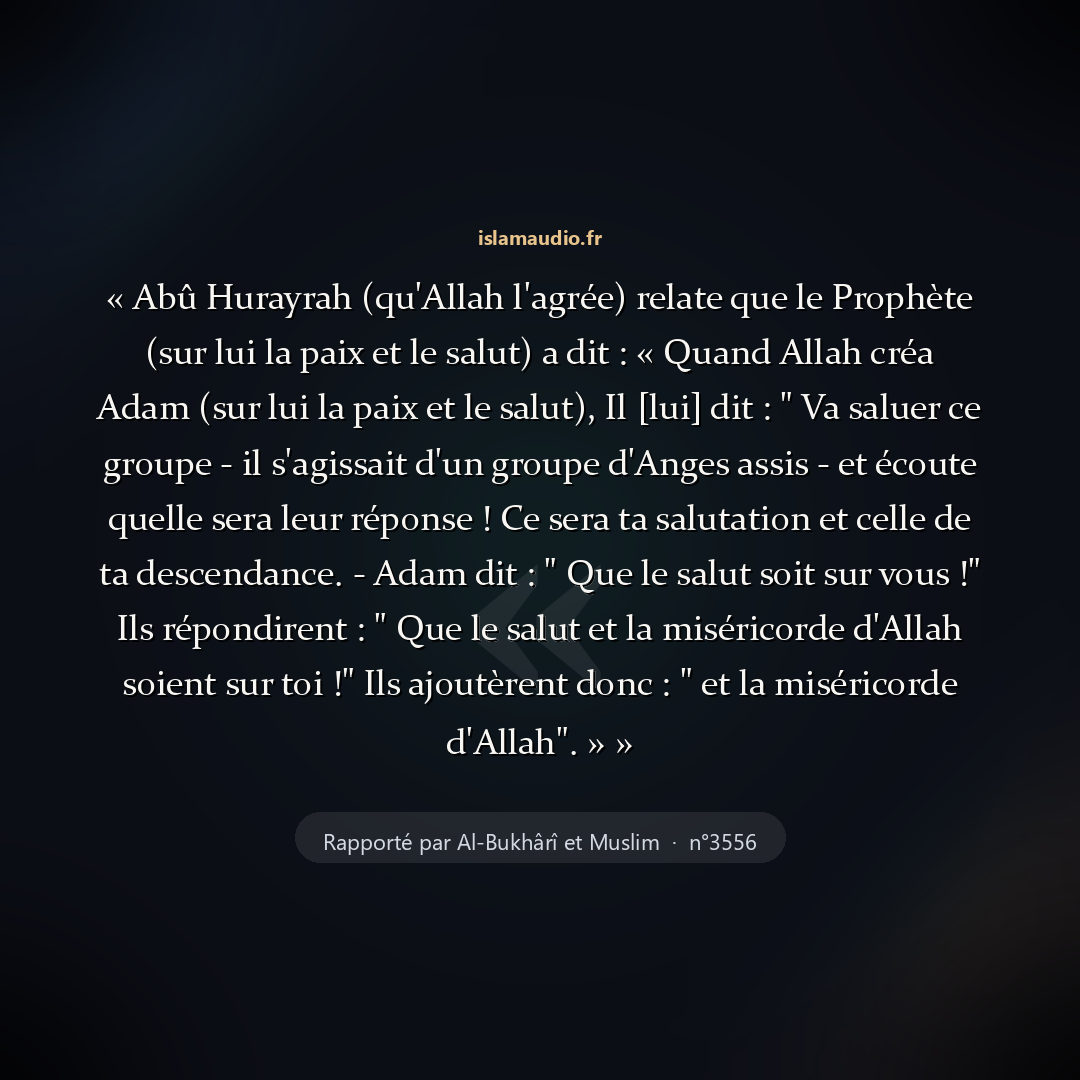 Aperçu du hadith