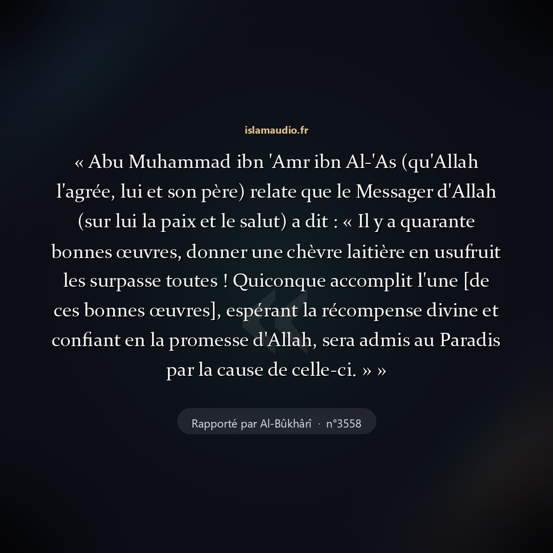 Aperçu du hadith
