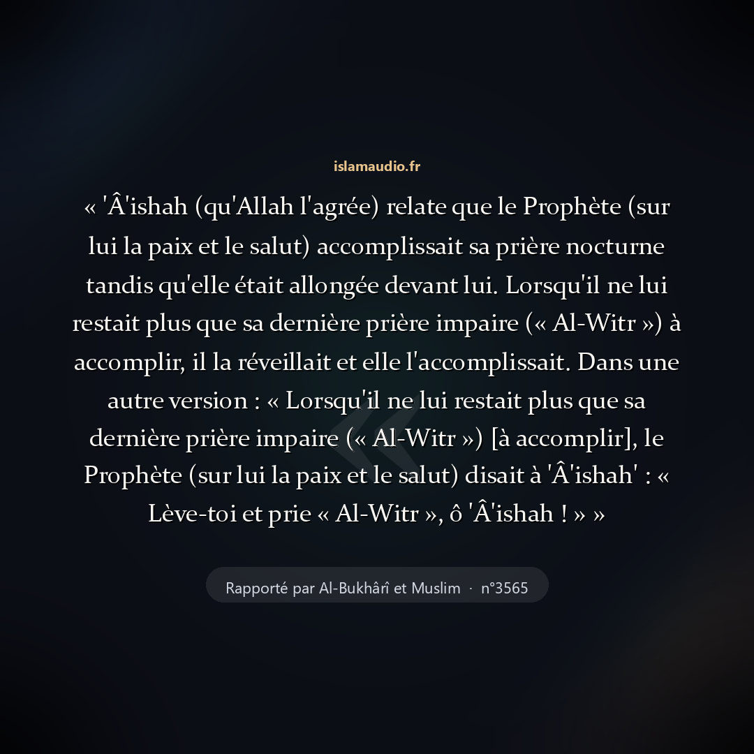 Aperçu du hadith