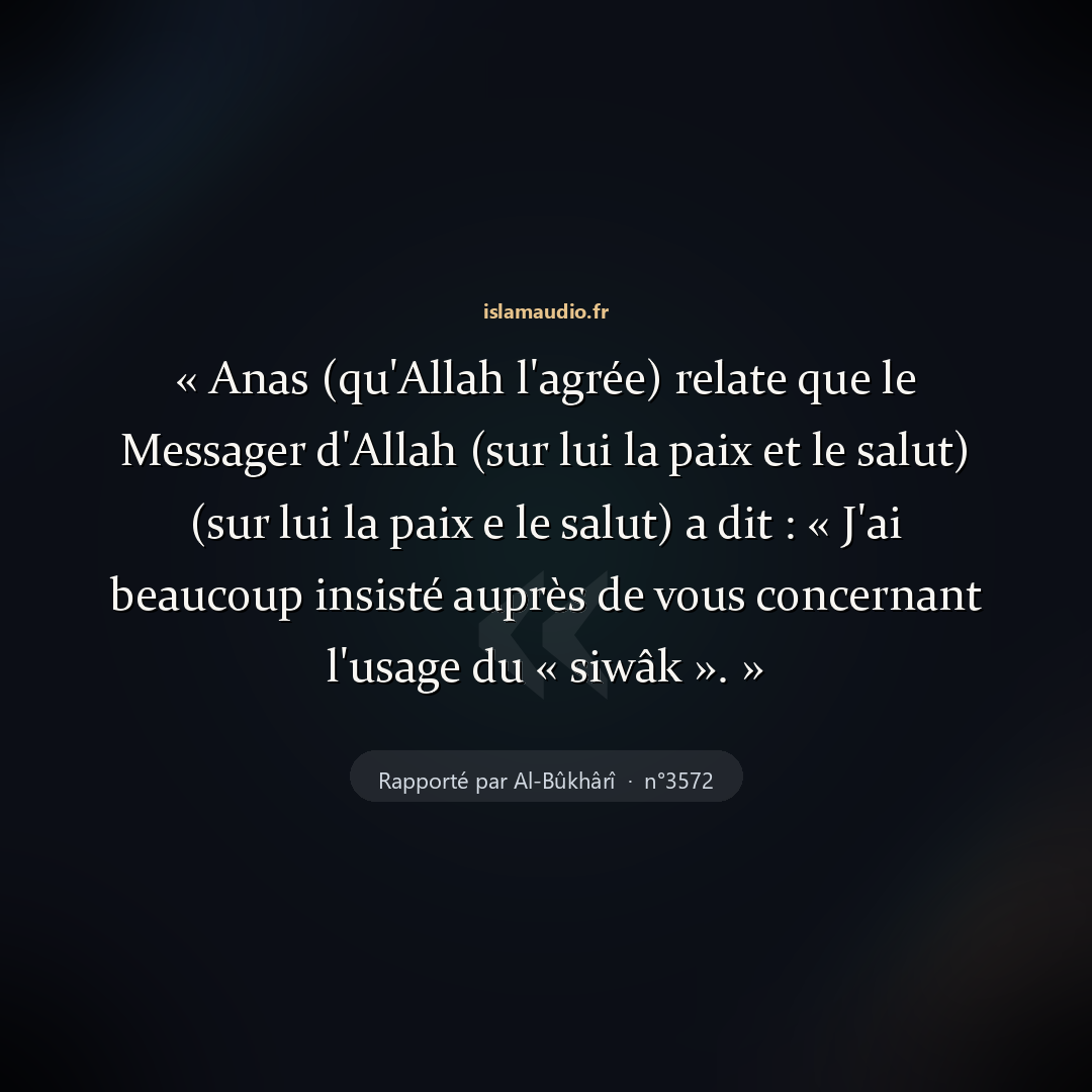 Aperçu du hadith