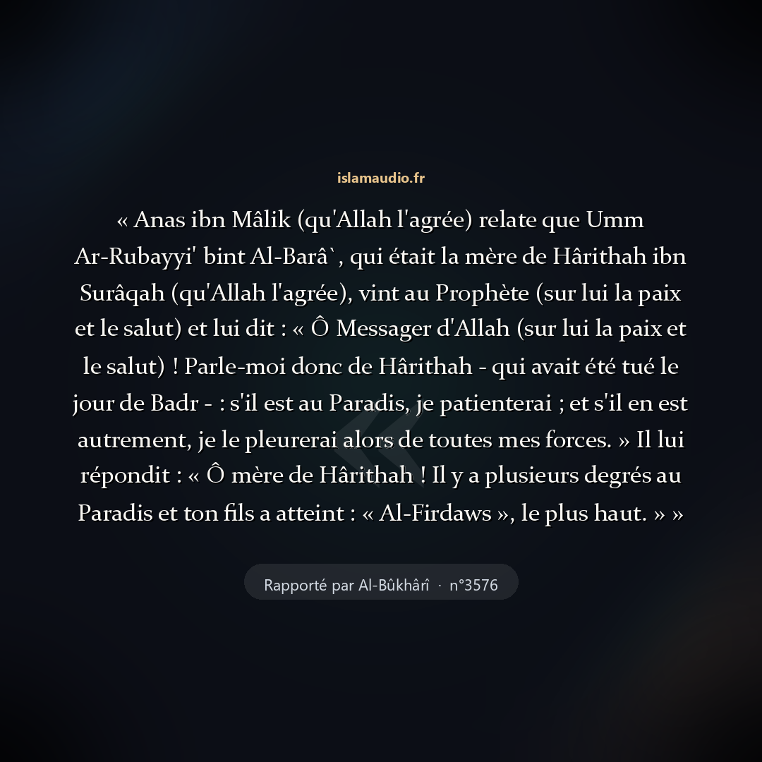 Aperçu du hadith