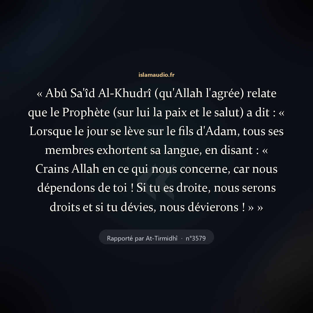 Aperçu du hadith