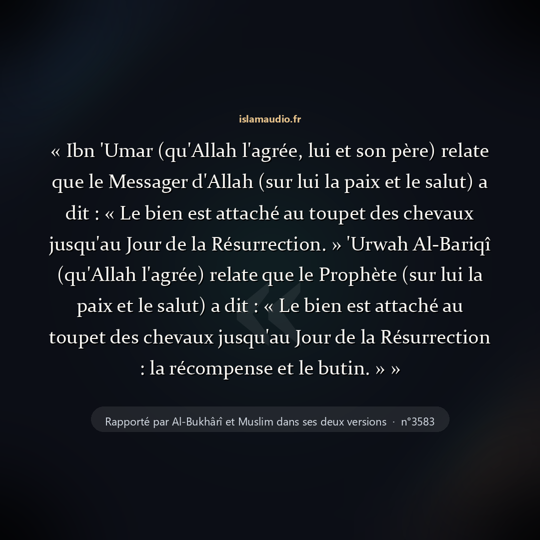 Aperçu du hadith