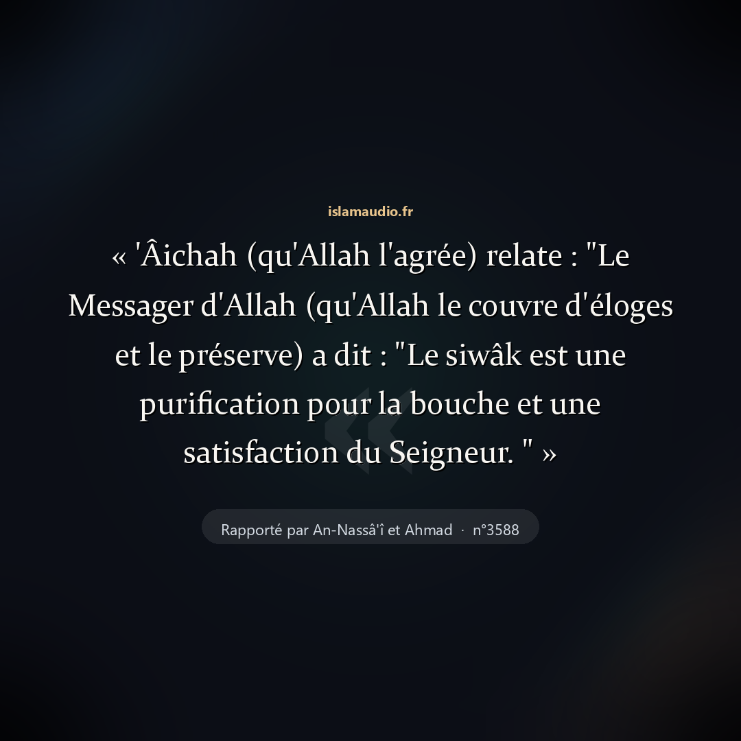 Aperçu du hadith