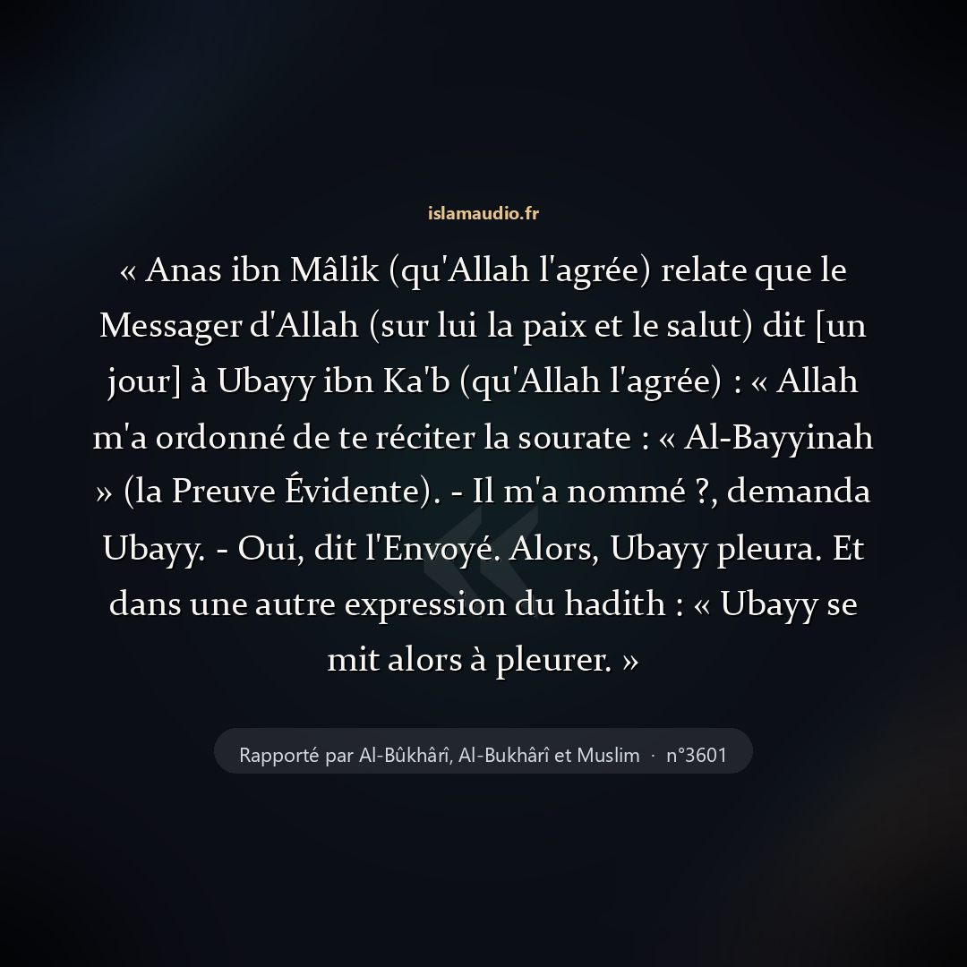 Aperçu du hadith