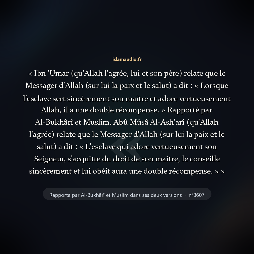 Aperçu du hadith
