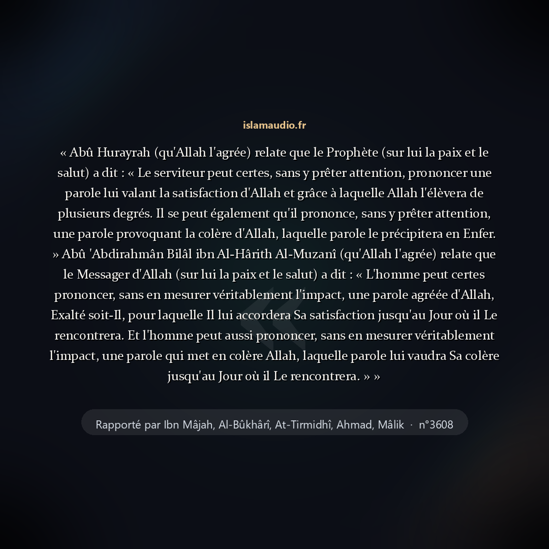 Aperçu du hadith