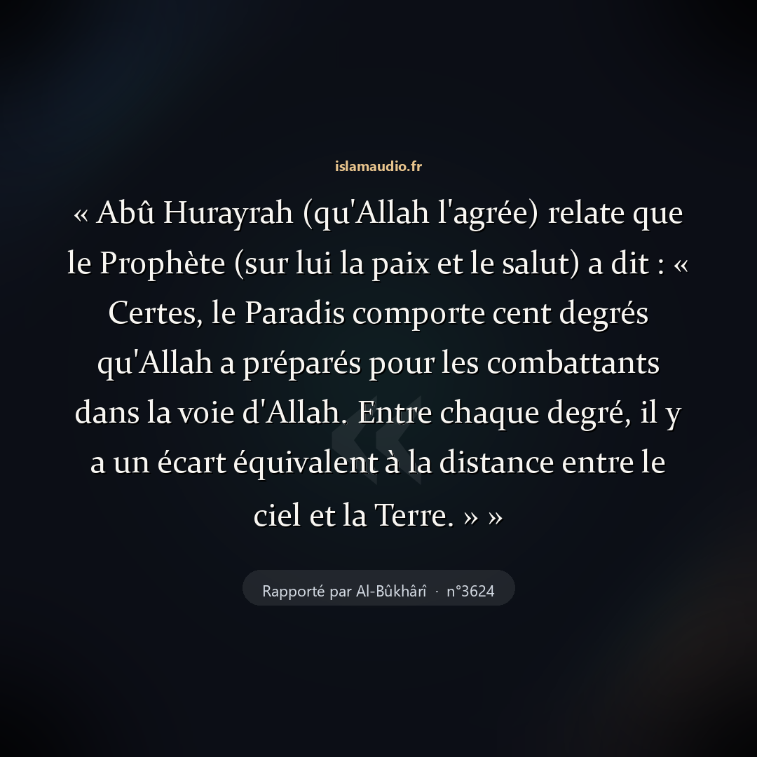 Aperçu du hadith