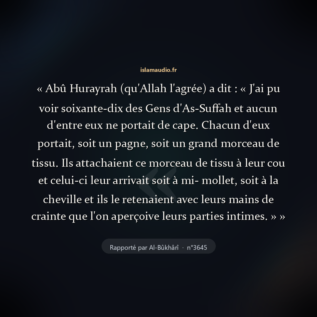 Aperçu du hadith