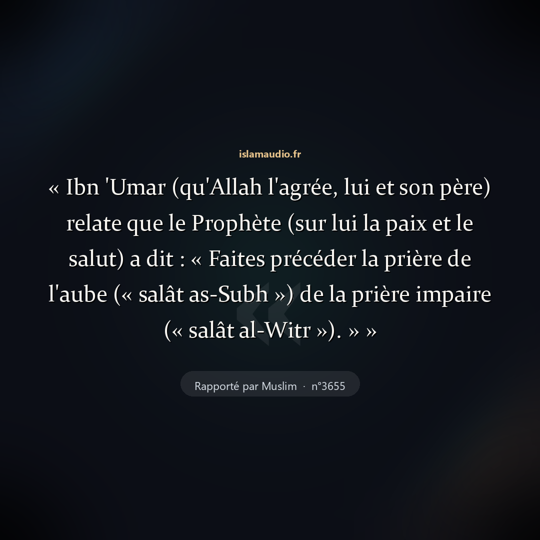 Aperçu du hadith