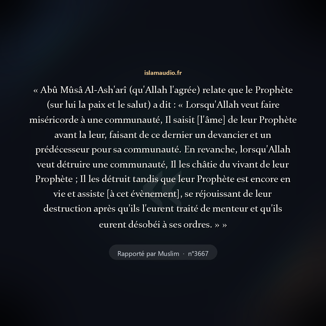 Aperçu du hadith