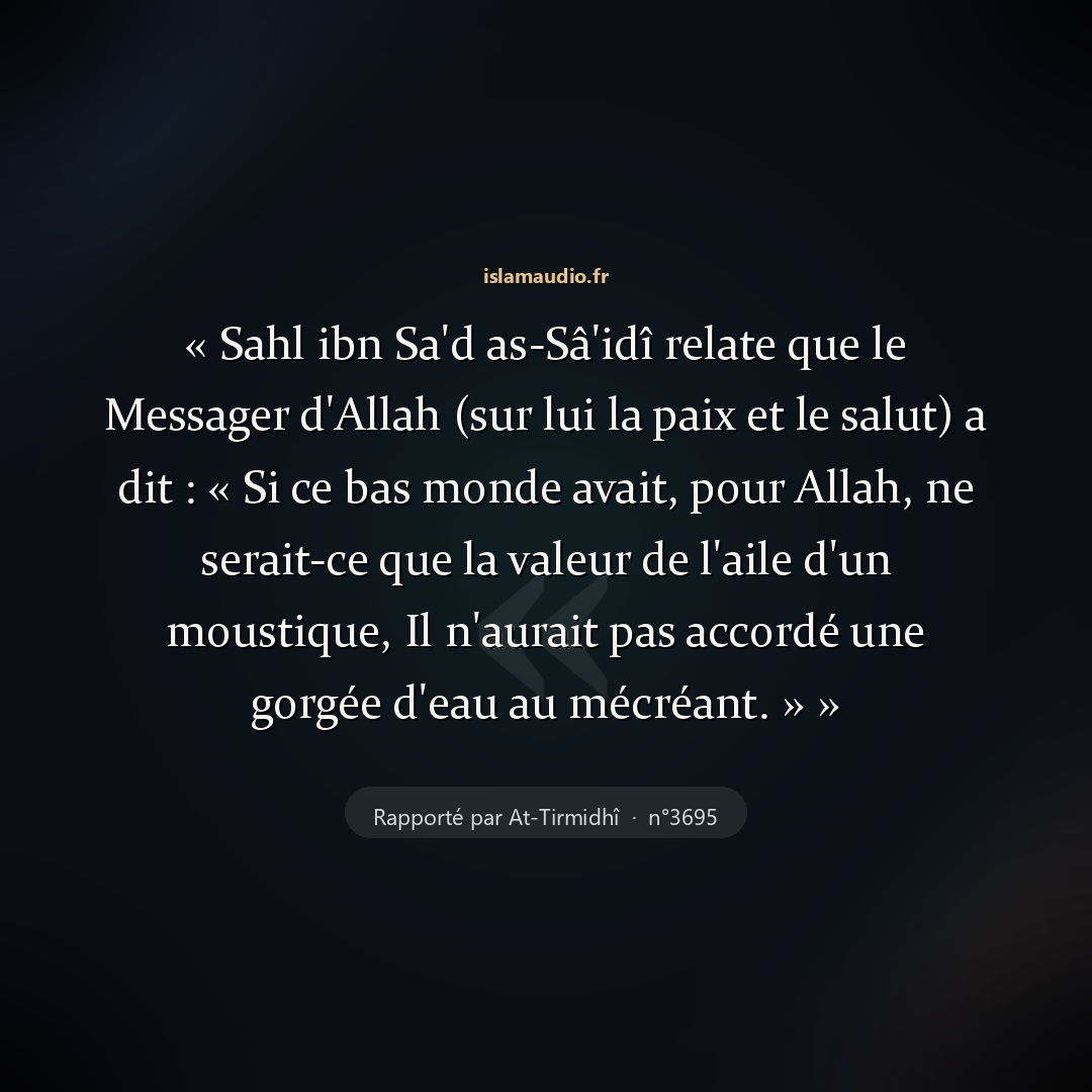 Aperçu du hadith