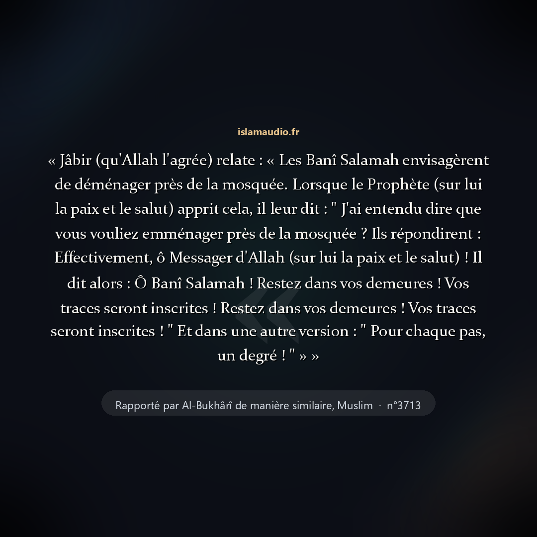 Aperçu du hadith