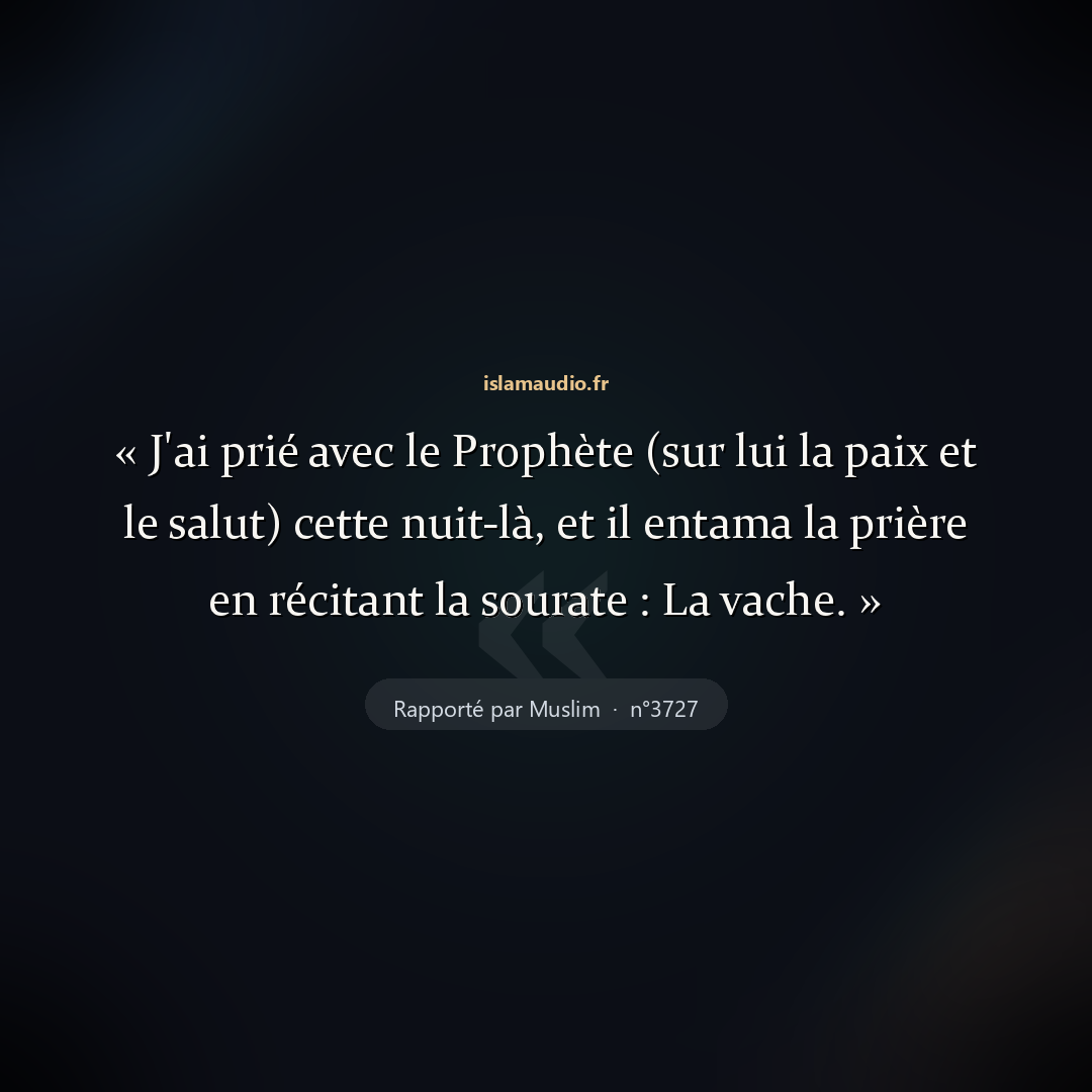 Aperçu du hadith