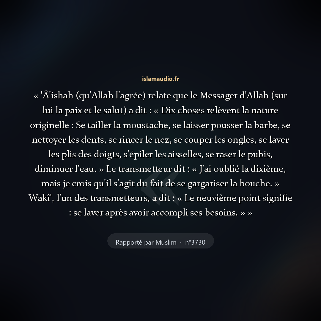 Aperçu du hadith