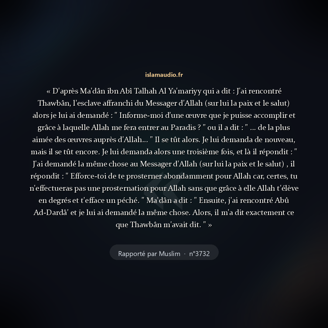 Aperçu du hadith