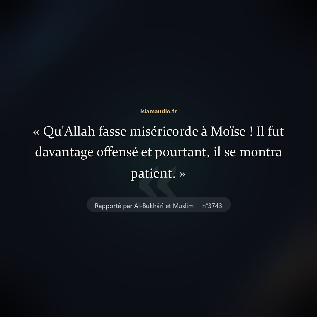 Aperçu du hadith