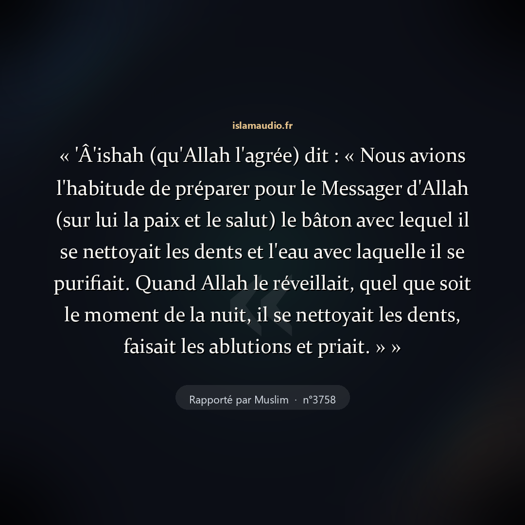 Aperçu du hadith