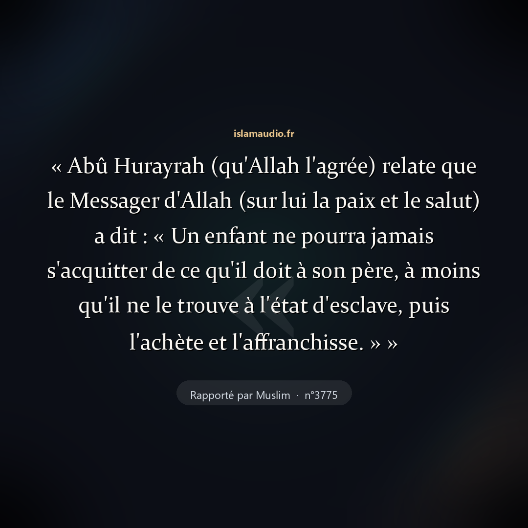 Aperçu du hadith