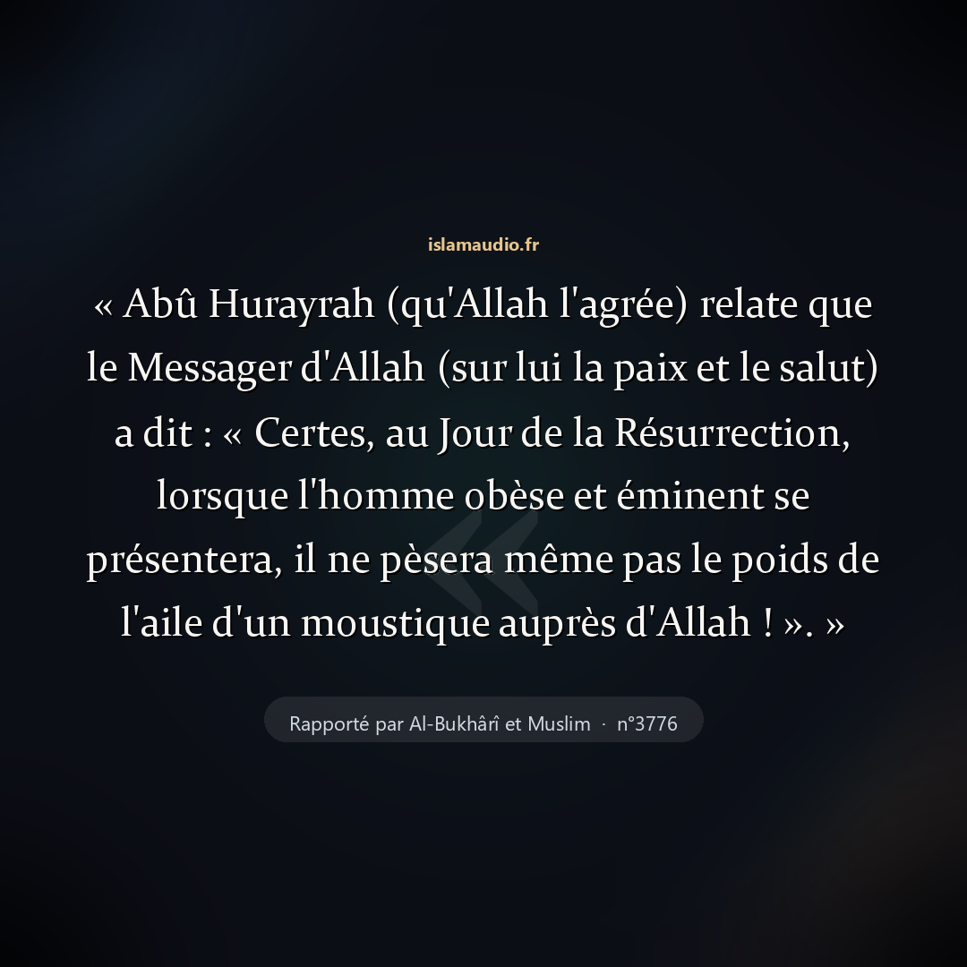 Aperçu du hadith